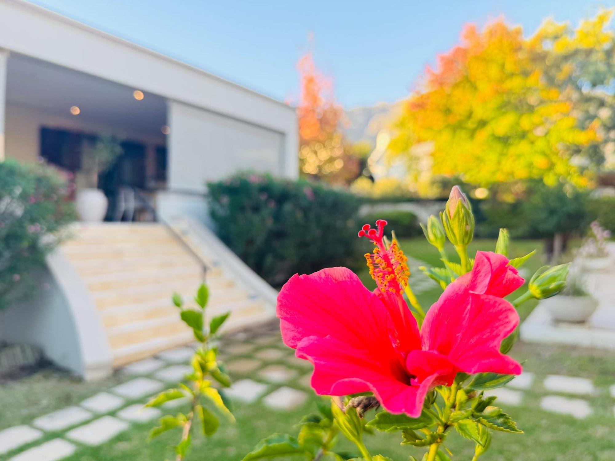 Residence Vive La Vie Franschhoek Exterior foto
